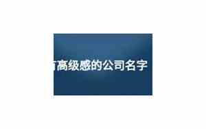数据方案公司名字高级