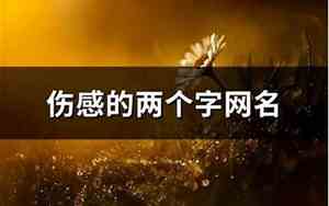 伤感的两个字网名