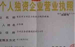 个人独资起名能带公司吗