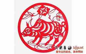 有马的好名字有哪些呢