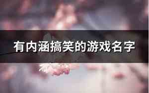 内涵搞笑的网名