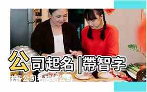 公司起名带家智字的名字