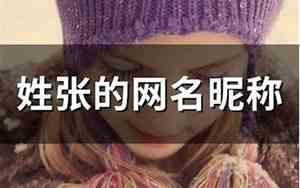 姓张的网名