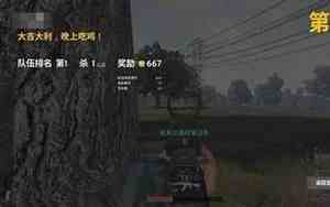 吃鸡超好名字