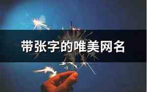 带张字的网名