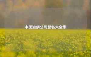 中医有限公司起名大全