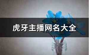主播网名大全