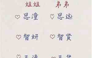 好听的姐弟名字加小名字