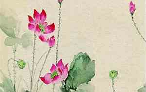 带宣字公司起名字女孩