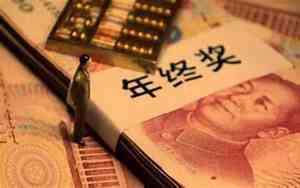 公司名字和年终奖