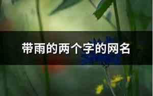 带雨的两个字网名