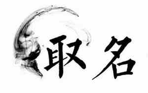 晨子宝宝名字男孩