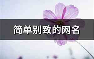别致的网名