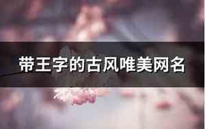 带王字的网名