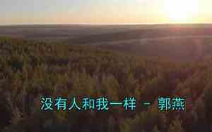 我想听你才是真的好听