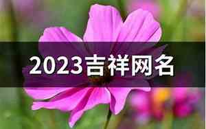 吉祥网名