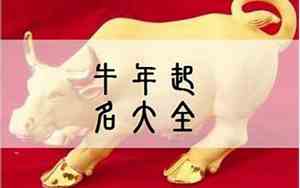 唐姓牛宝宝男孩名字
