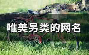 另类的网名