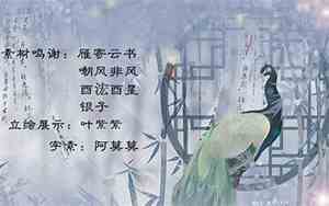 带鸢好听的名字