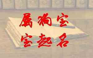 周姓狗年宝宝名字