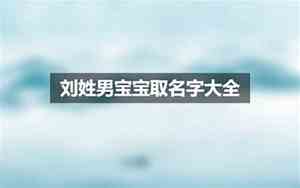 刘嘉宝宝名字大全