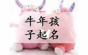 出生牛宝宝名字大全