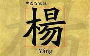 好听的杨字快手名字