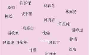 小说男主的公司名字