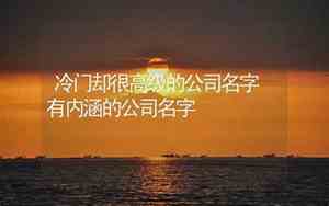 冷门高级公司名字有哪些