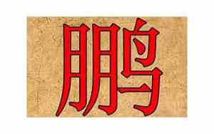 带鹏字的网名