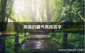 带昊涛的公司名字