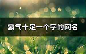 一个字的网名霸气