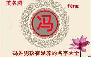 冯宝宝名字属牛