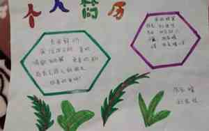 思好名字的由来手抄报