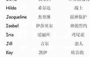 大美取网名