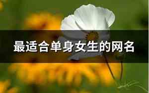 女生单身网名