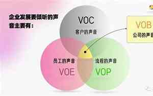 声音公司名字