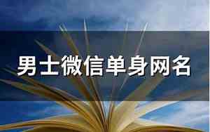 单身男士网名
