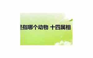 十四属相宝宝名字