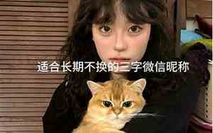 带鸭的网名