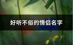 好听又不俗的情侣名字