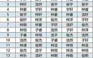 带睿男宝宝名字
