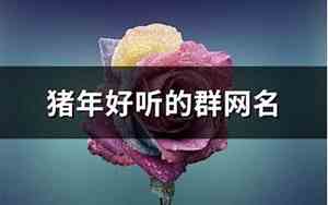 好听的群网名