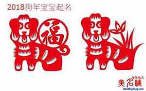敏狗宝宝名字
