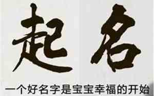 2月宝宝取名字