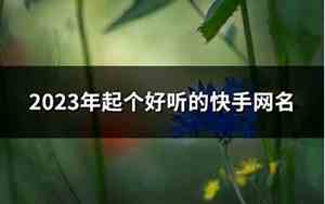 好听快手网名