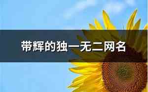 带辉的网名
