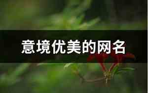 优美的网名