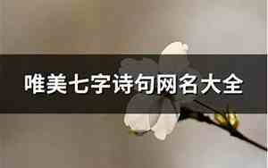 七字诗句网名