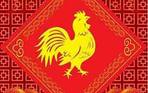 怎么取鸡宝宝名字